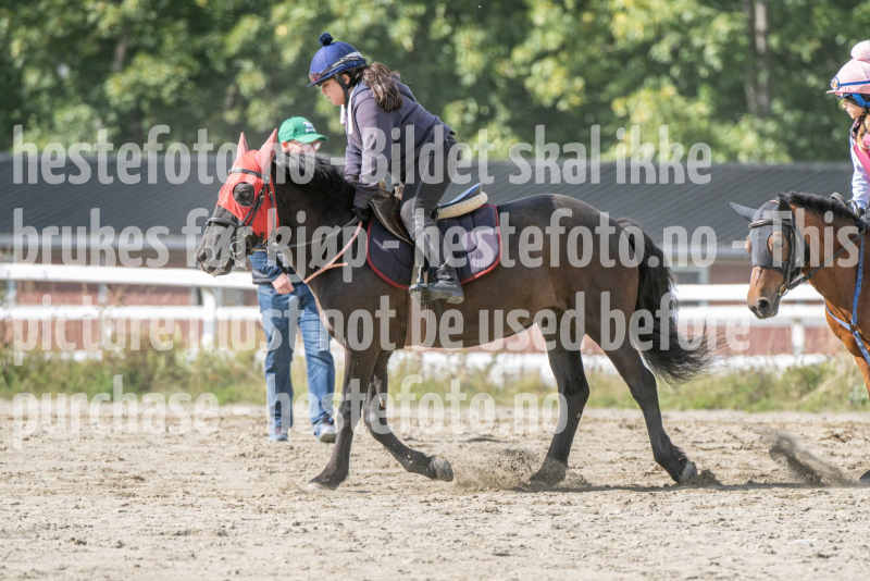 20260905-131953-DSC_0621