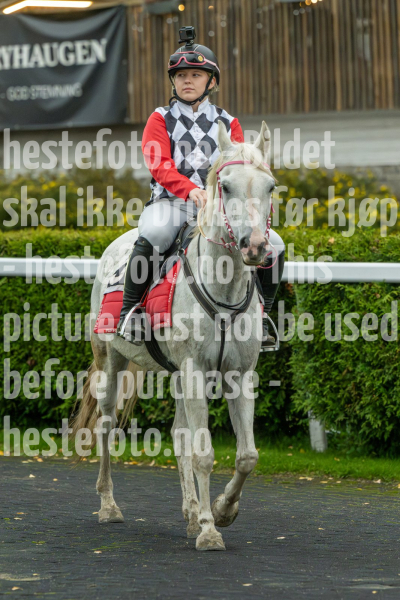 20261015-172840-DSC4132