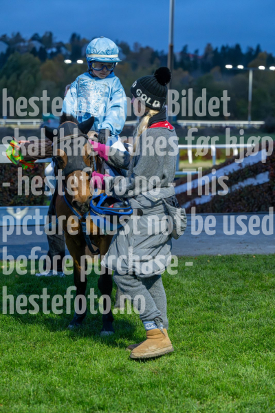 20261015-175405-DSC4449