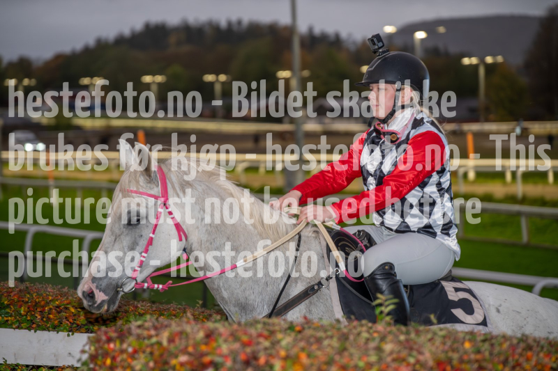 20261015-174923-DSC_1242