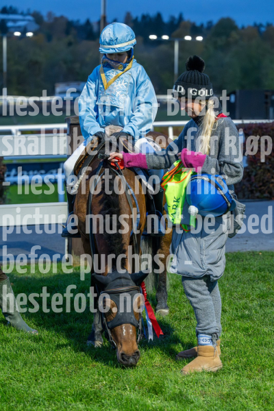 20261015-175454-DSC4474