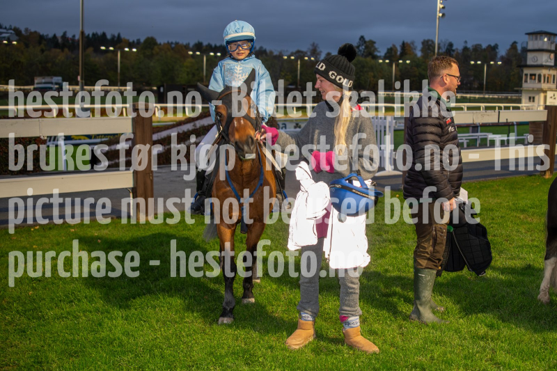 20261015-175251-DSC_1284