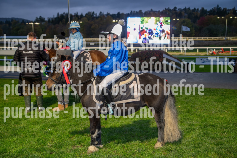 20261015-175334-DSC_1297