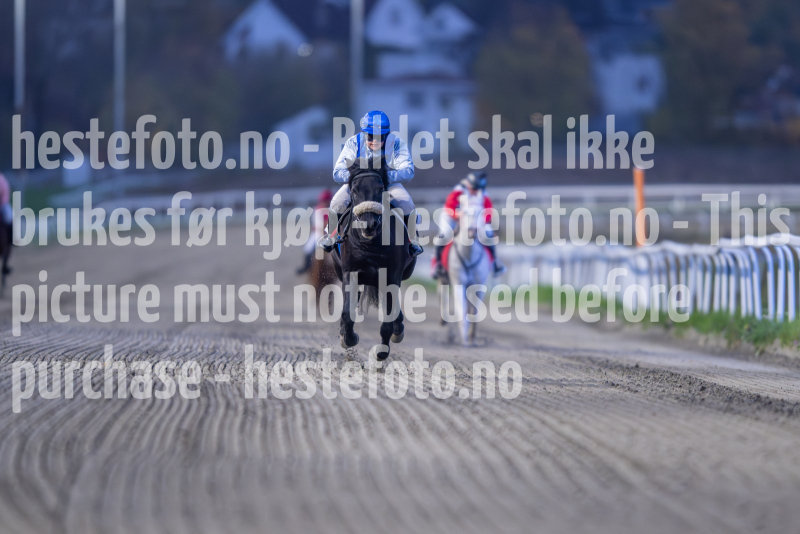 20261015-174203-DSC_6682