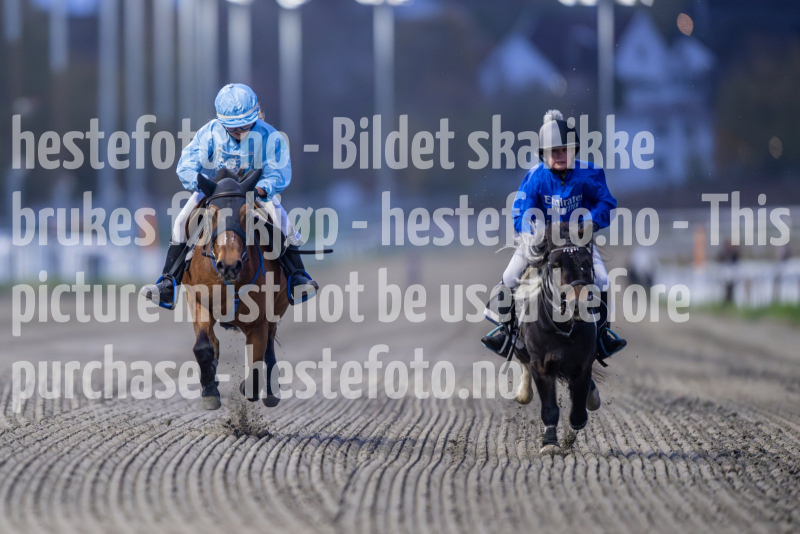20261015-174733-DSC_7116