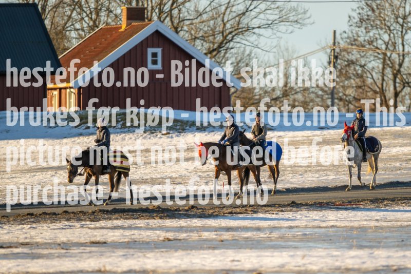 20230218-101946-DSC_8341