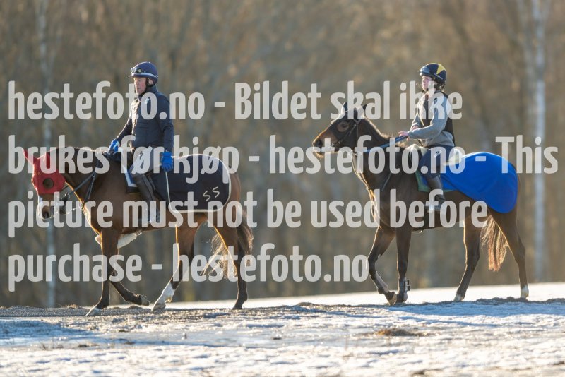 20230218-102115-DSC_8603