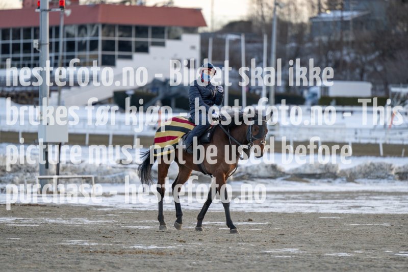 20230311-094341-DSC_7979