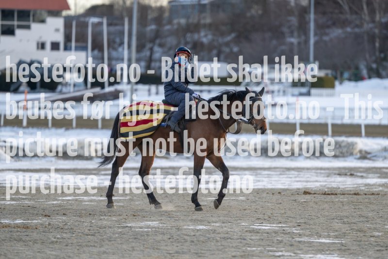 20230311-094343-DSC_8002