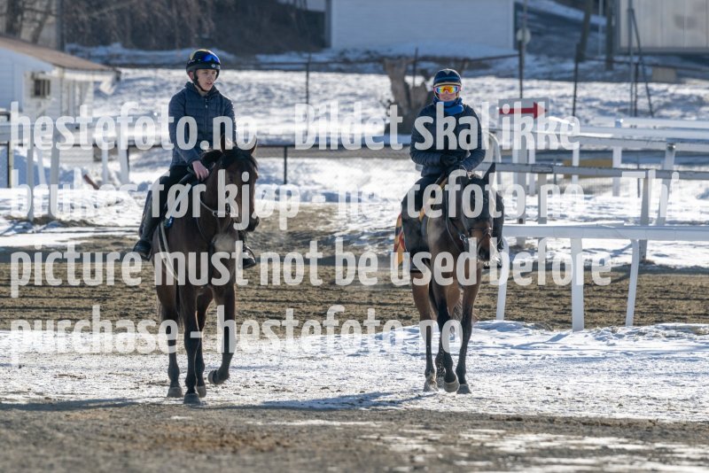 20230311-105212-DSC_8626