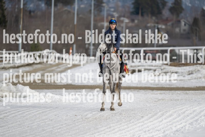 20230311-115454-DSC_8845