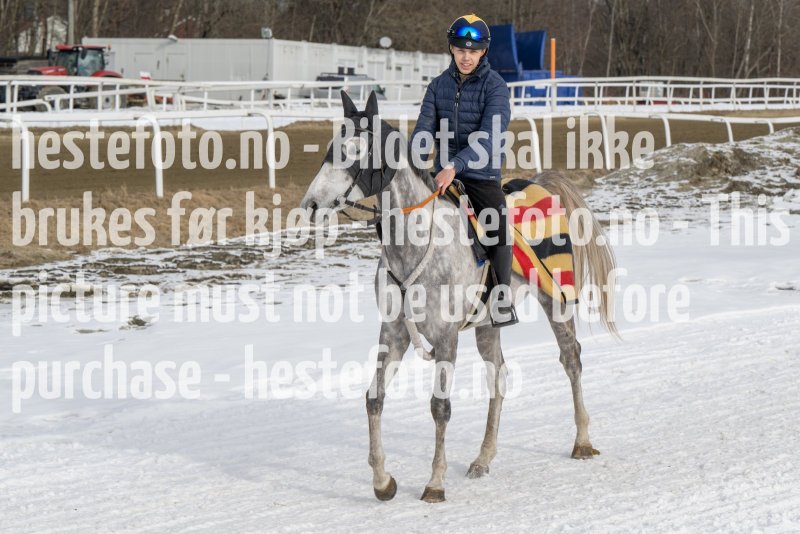 20230311-115510-DSC_8877