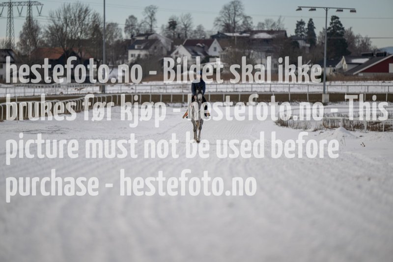 20230311-120322-DSC_9122