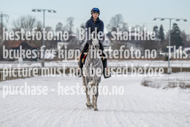 20230311-120334-DSC_9186