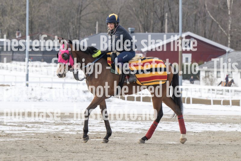 20230311-120448-DSC_9258