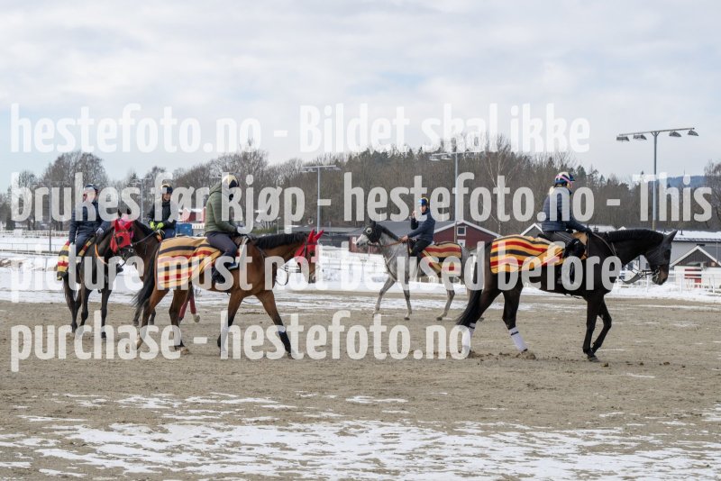 20230311-120453-DSC_9267
