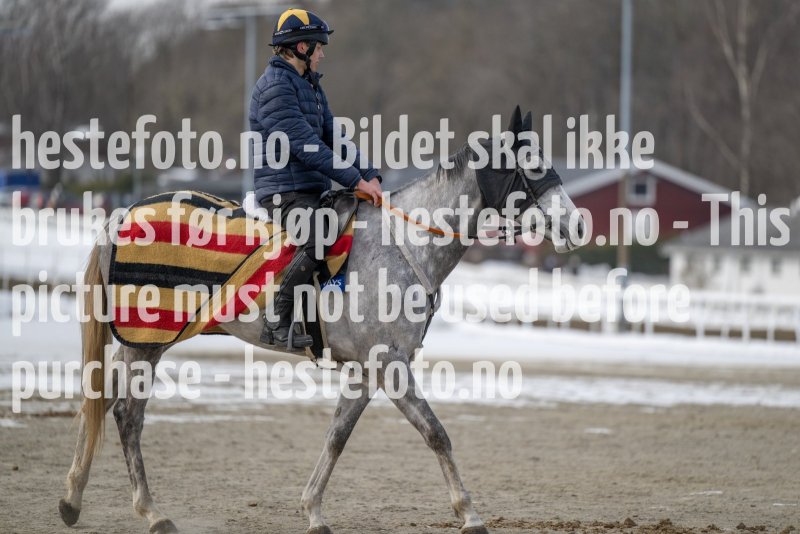 20230311-120506-DSC_9302