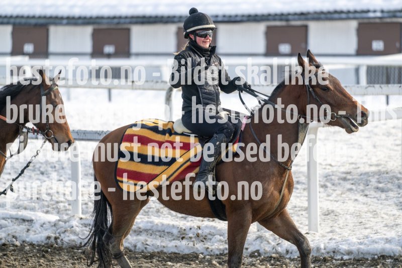 20230318-120335-DSC_1748