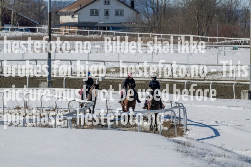 20230401-113428-DSC_8159