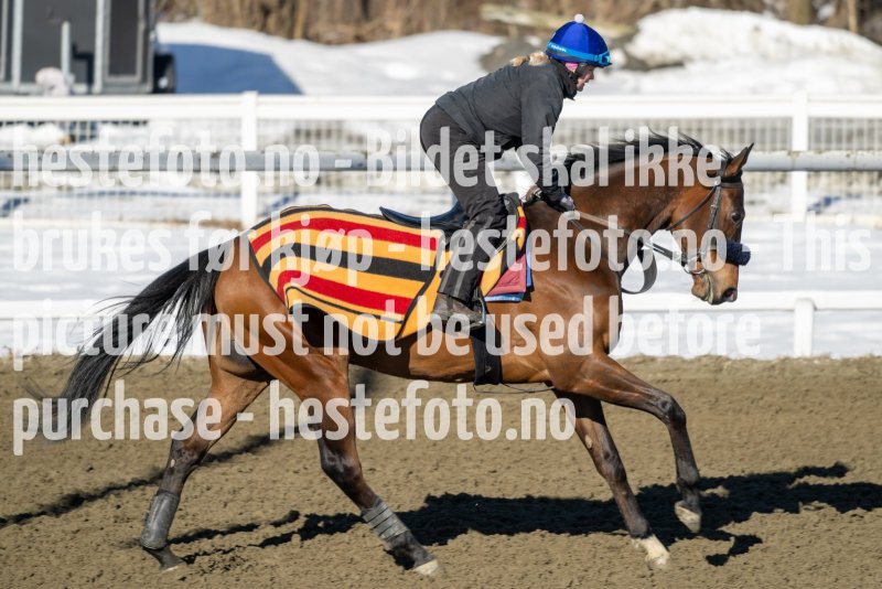 20230401-111531-DSC_7131