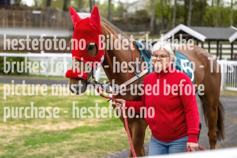 20230511-182911-DSC_5473
