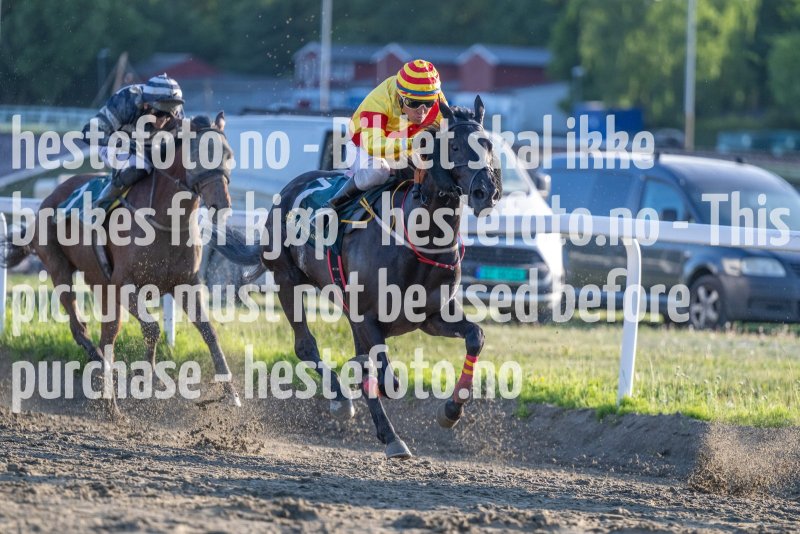 20230608-195916-DSC_3019
