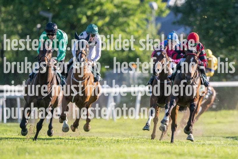 20230624-193608-DSC_8502