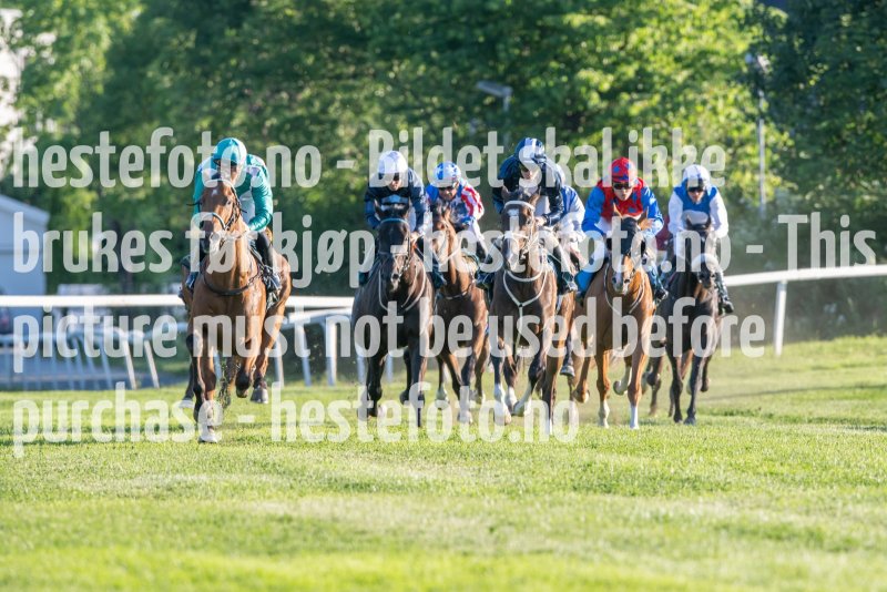 20230624-202632-DSC_8974