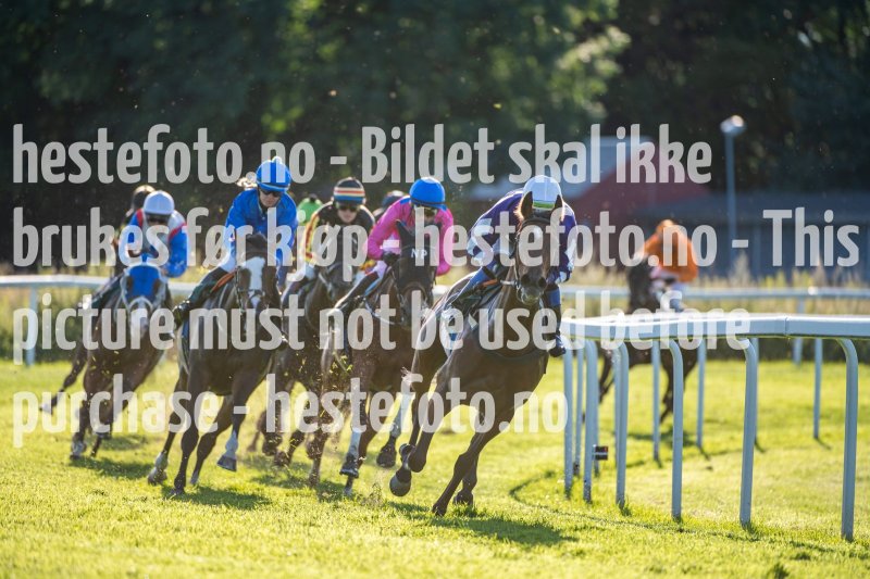 20230727-190231-DSC_2217