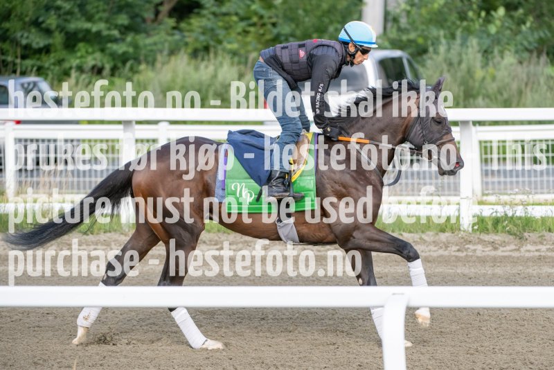 20230729-093803-DSC_3682