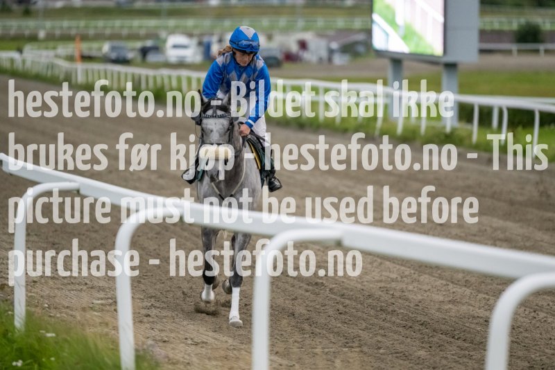 20230810-201515-DSC4093