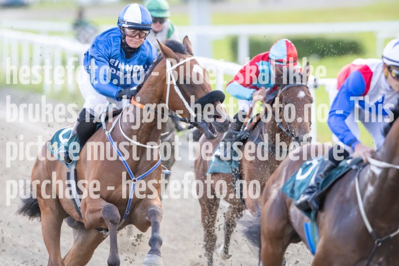 20230810-182449-DSC_8984