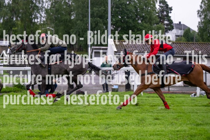 20230815-070317-DSC_3301