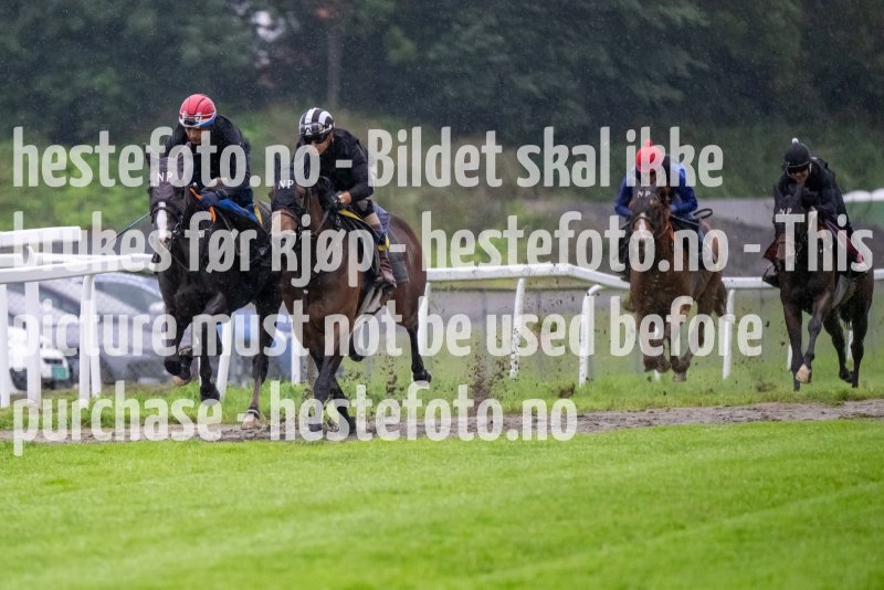 20230815-074138-DSC_3654