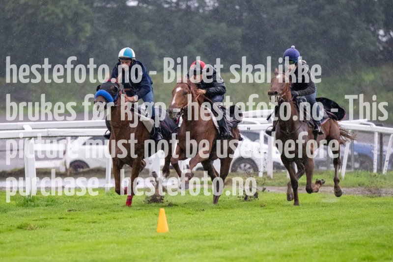 20230815-074751-DSC_3851
