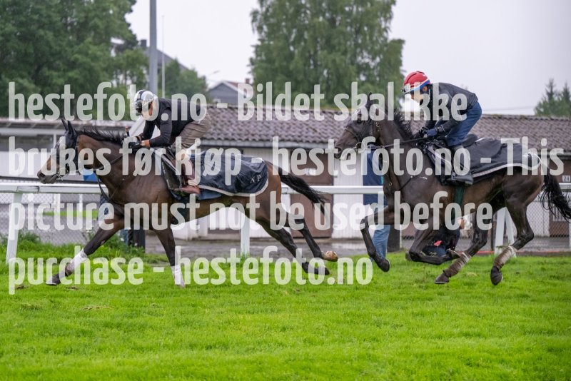 20230815-083305-DSC_4464