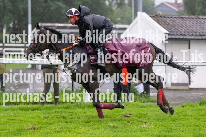 20230815-085007-DSC_5115