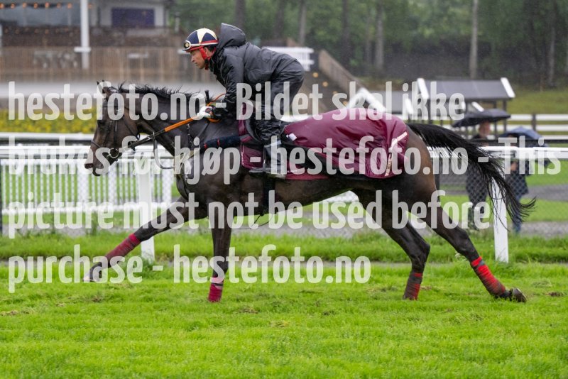 20230815-085007-DSC_5122
