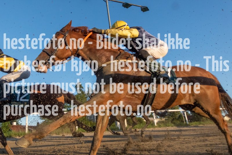 20230817-200039-DSD02182