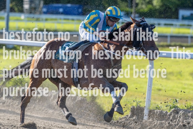 20230817-175202-DSC5058