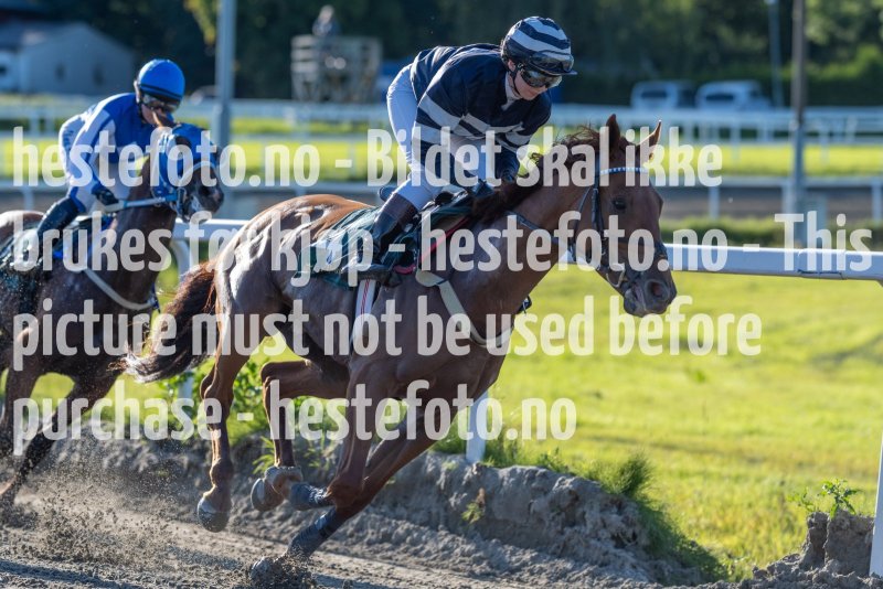 20230817-181714-DSC5069
