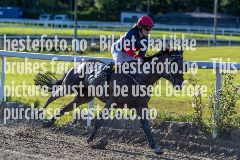 20230817-181847-DSC5097