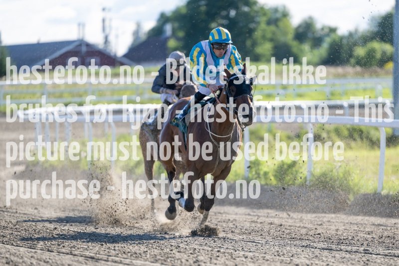 20230817-175203-DSC_5609