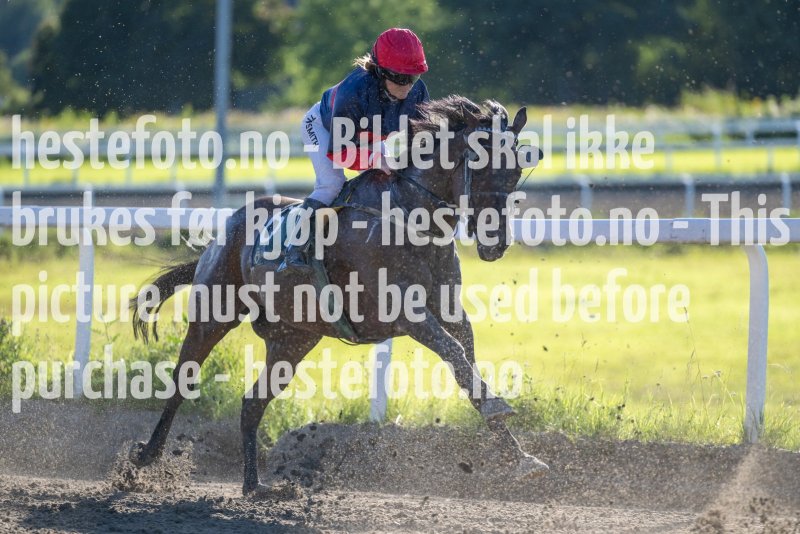 20230817-181716-DSC_5722