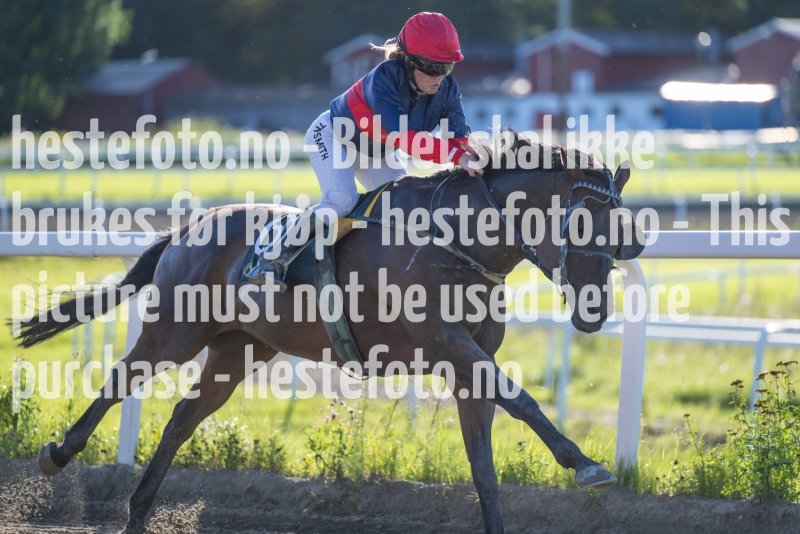 20230817-181848-DSC_5831