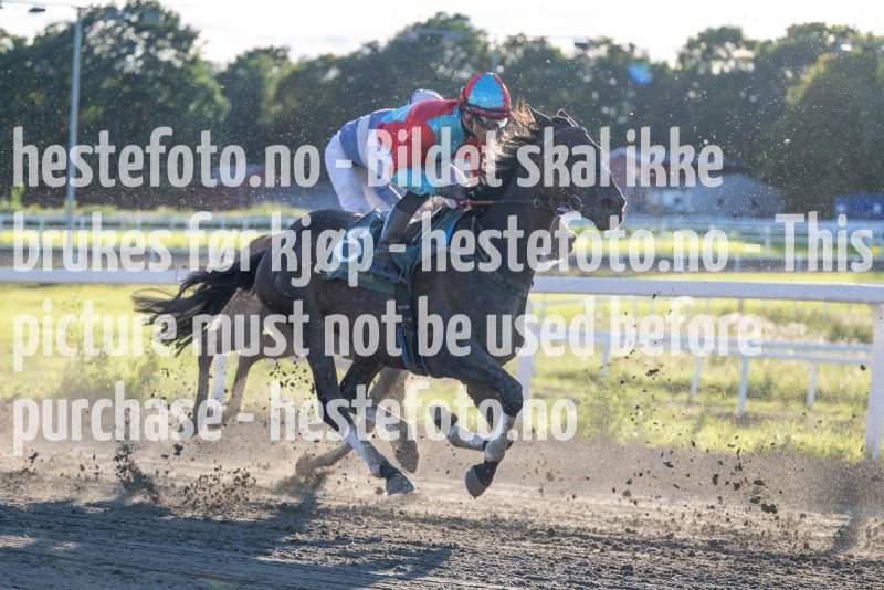 20230817-190657-DSC_6027