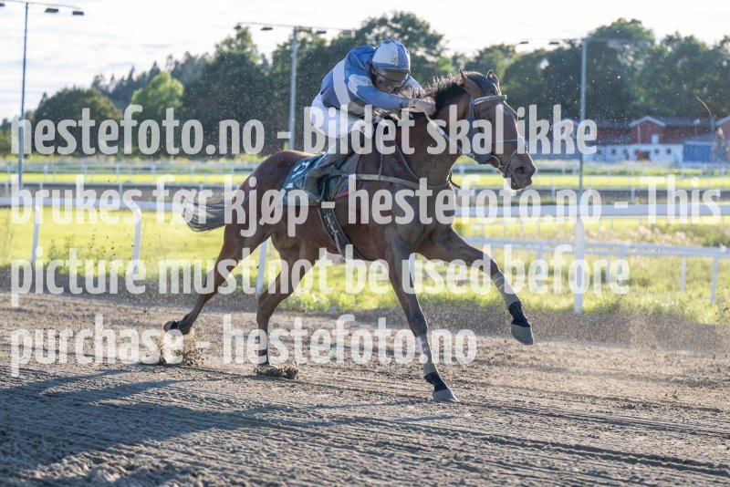 20230817-190827-DSC_6127