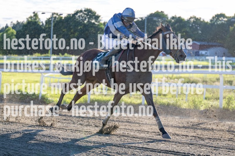 20230817-190828-DSC_6128