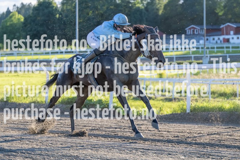20230817-193508-DSC_6227