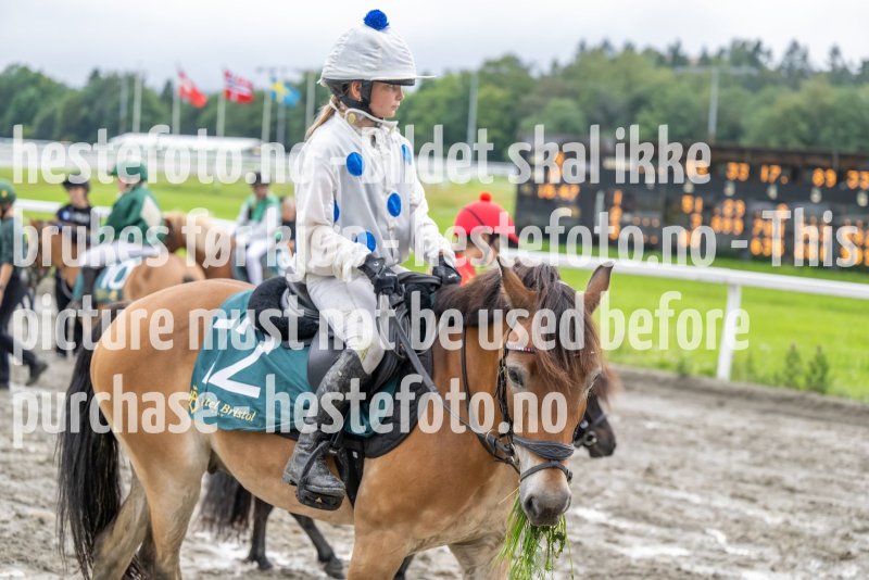 20230820-164728-DSC_5180